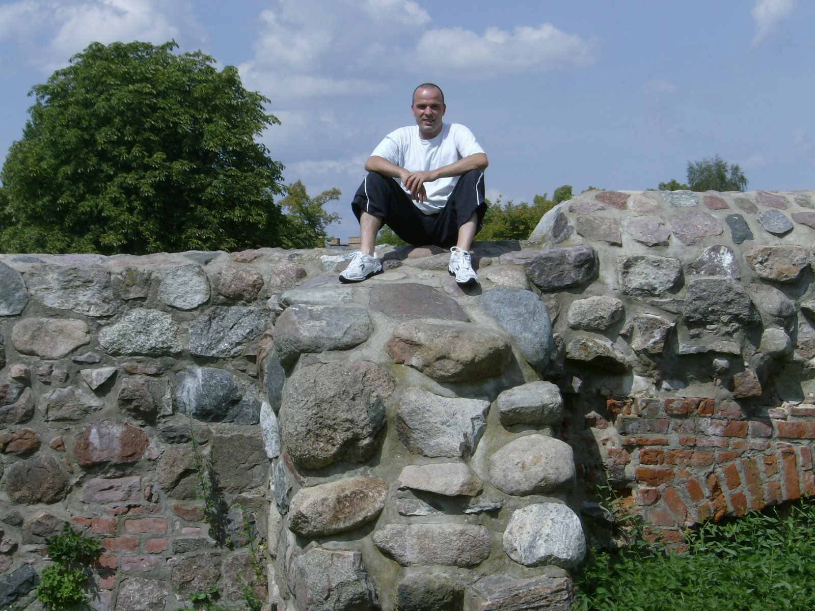 Farbphoto: Auf einer historischen Mauer in Angermünde. 2009.