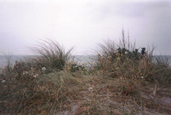 Photo: Eine Düne im Ishoj Strandpark bei Kopenhagen und dahinter die Ostsee. Mai 2002. Copyright by jen.