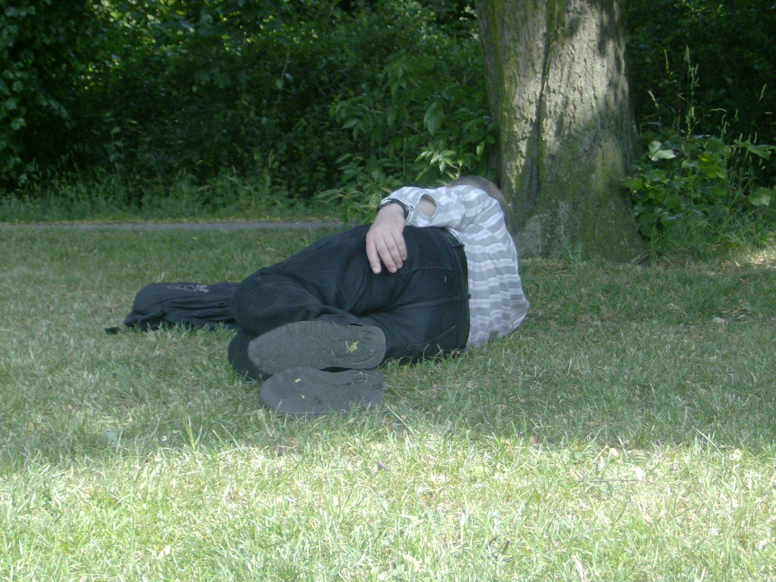 Farbfoto: Erwin Thomasius liegt am Pfingstonntag auf dem Kehrwiederwall in Hildesheim. Fotograf: Ralph Ivert.